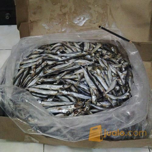 Ikan Shisamo / Capelin