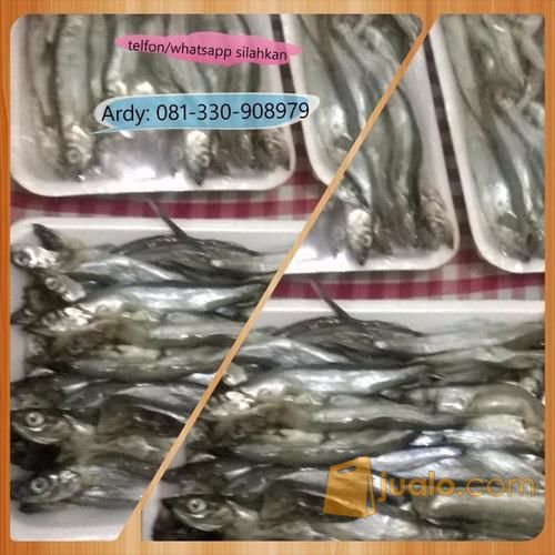 Ikan Shisamo / Capelin