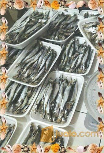 Ikan Shisamo / Capelin